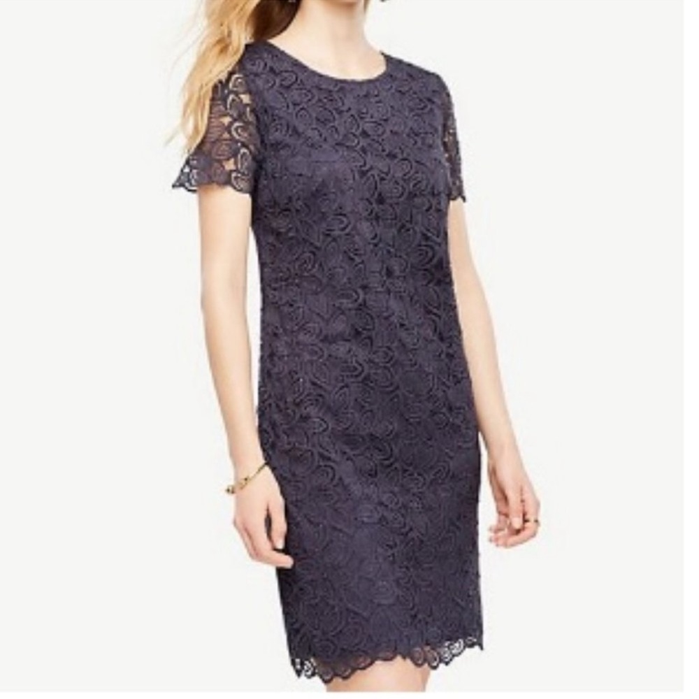 Ann Taylor Cocktail Career Dark Smokey Grey Lace Overlay Leaf Dress Size 14 L XL